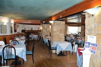 Orso Bianco Pescasseroli