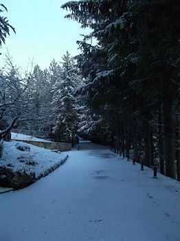 Hotel Orso Bianco 3*